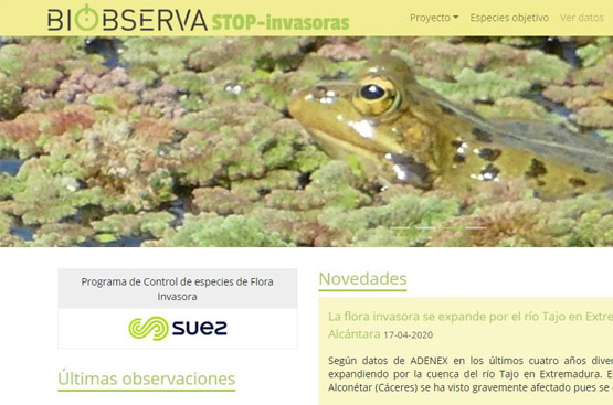 Ir a la noticia Asturagua, de la mano de Suez España, lanza el programa BiObserva ‘STOP-invasoras’ para el control de especies invasoras en sus instalaciones