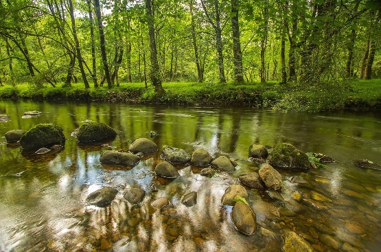 Un río 